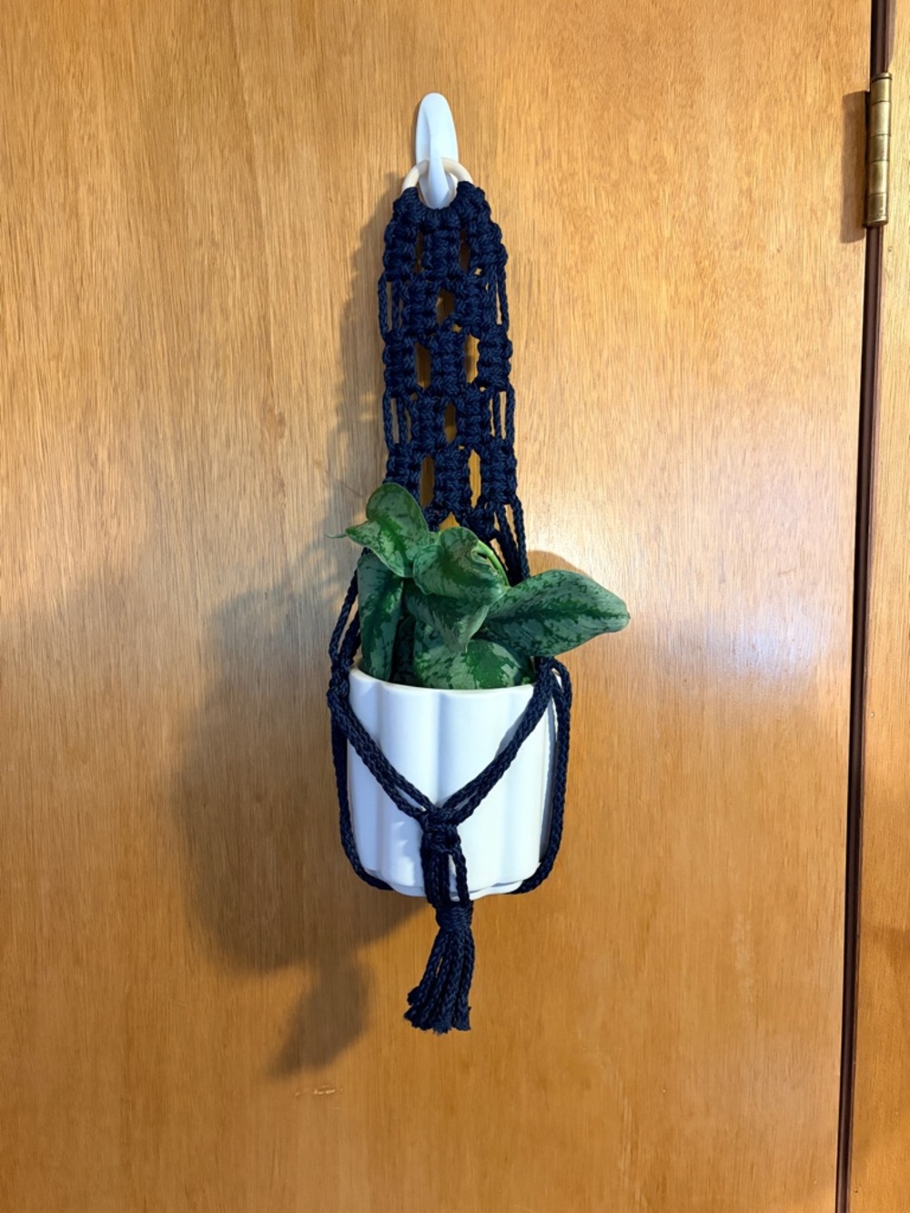 Handmade Macrame Plant Hanger. PLANT AND POT NOT INCLUDED.